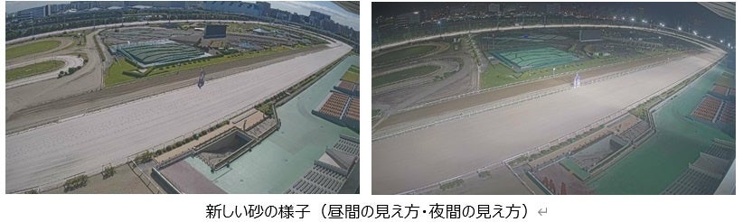 大井競馬場本馬場の砂の入れ替えが完了！より安全な馬場を目指しオーストラリア産“白い砂”を導入