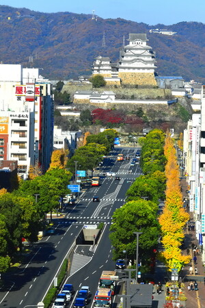 『種子地蔵縁日（たねじぞうえんにち）』を11月11日（土）に開催！