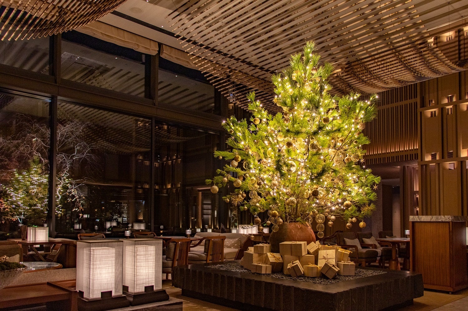 開館2周年記念!átoaうまれのこどもたちが展示デビューしました!【神戸の港の劇場型アクアリウム アトア】