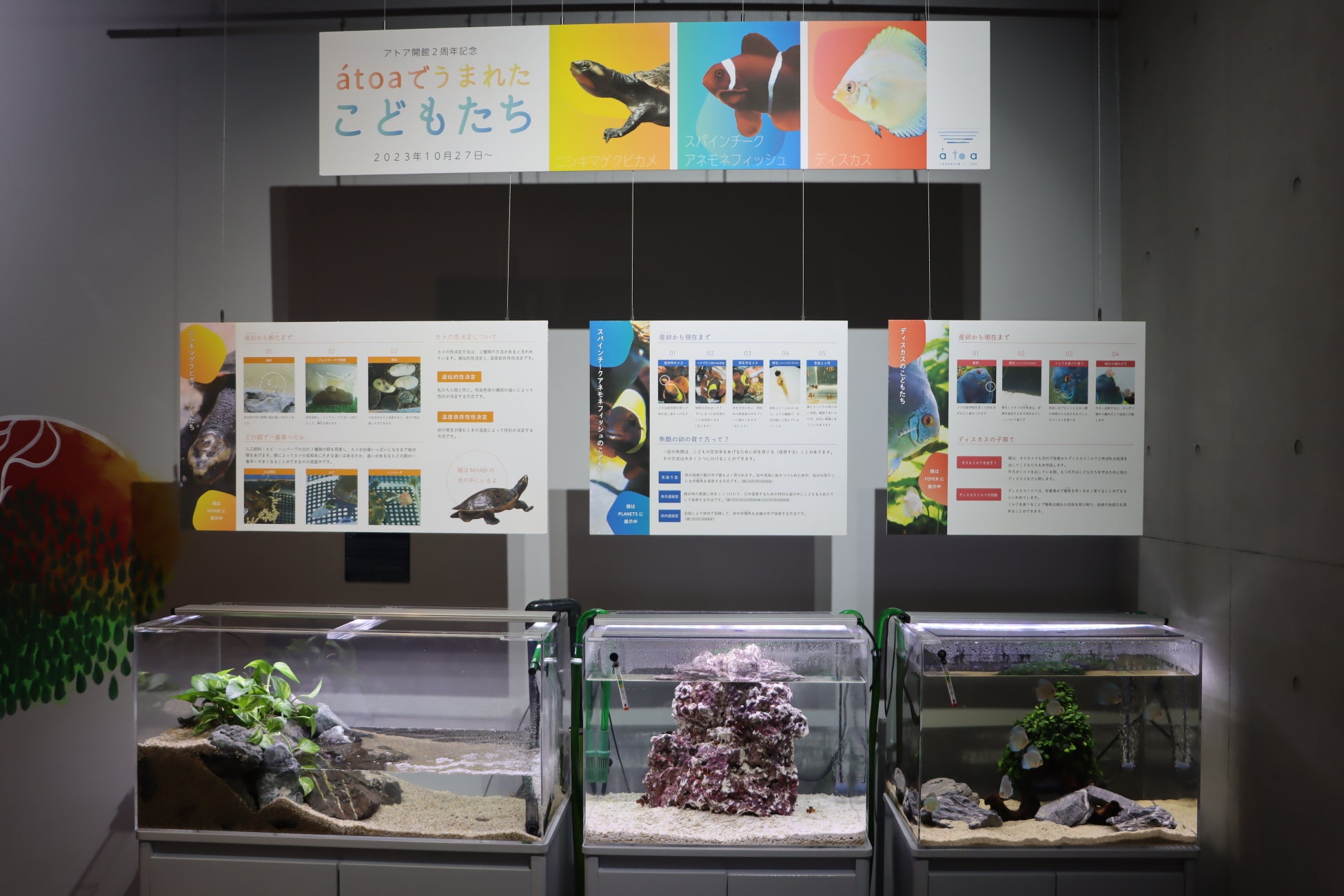 【VMG HOTELS & UNIQUE VENUES】NIPPONIA HOTEL 函館 港町より北欧スタイルのスペシャルディナーが愉しめるクリスマスプランが販売開始