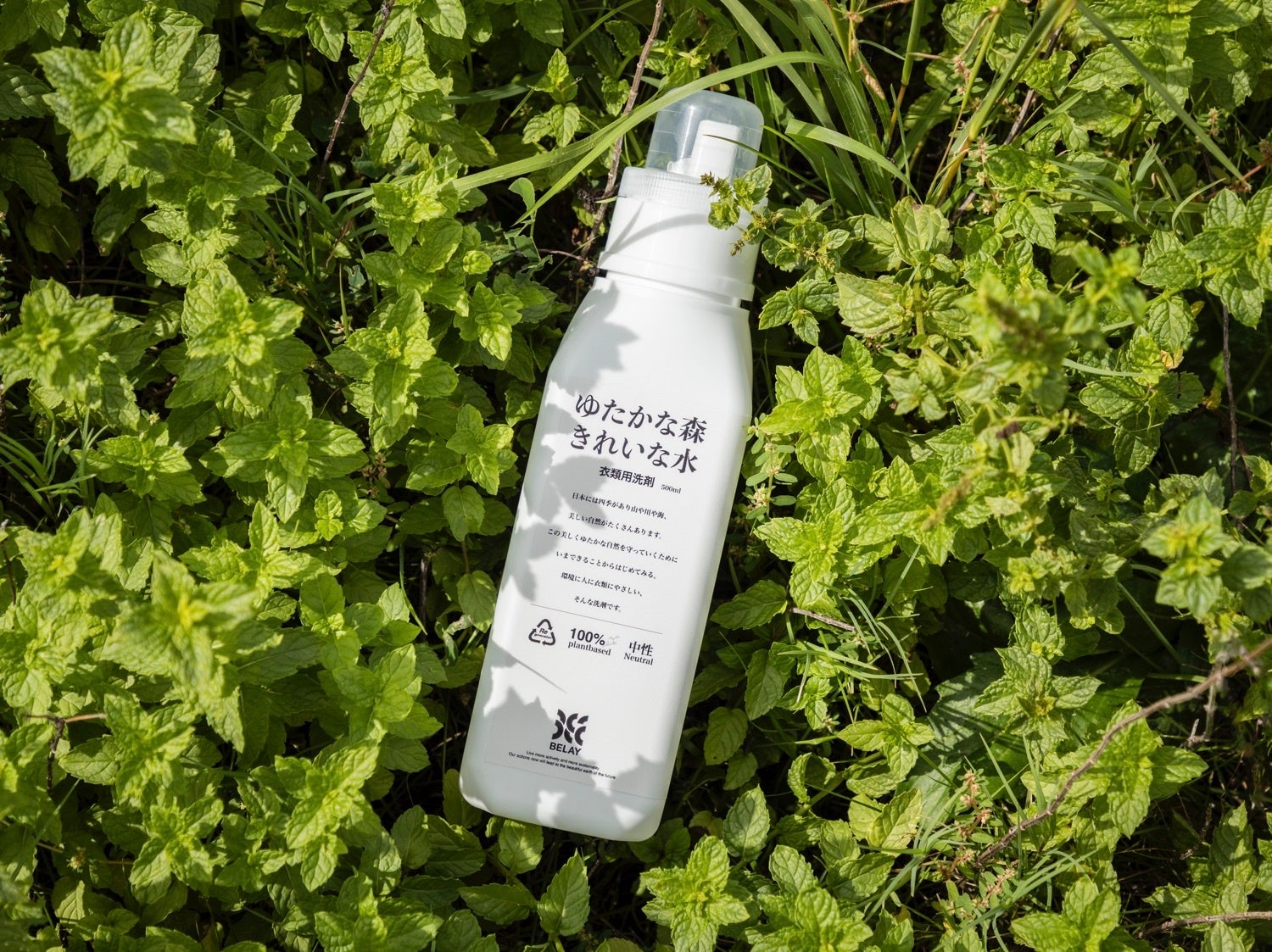 新しい台湾の魅力,農村体験なら自然豊かな苗栗へ