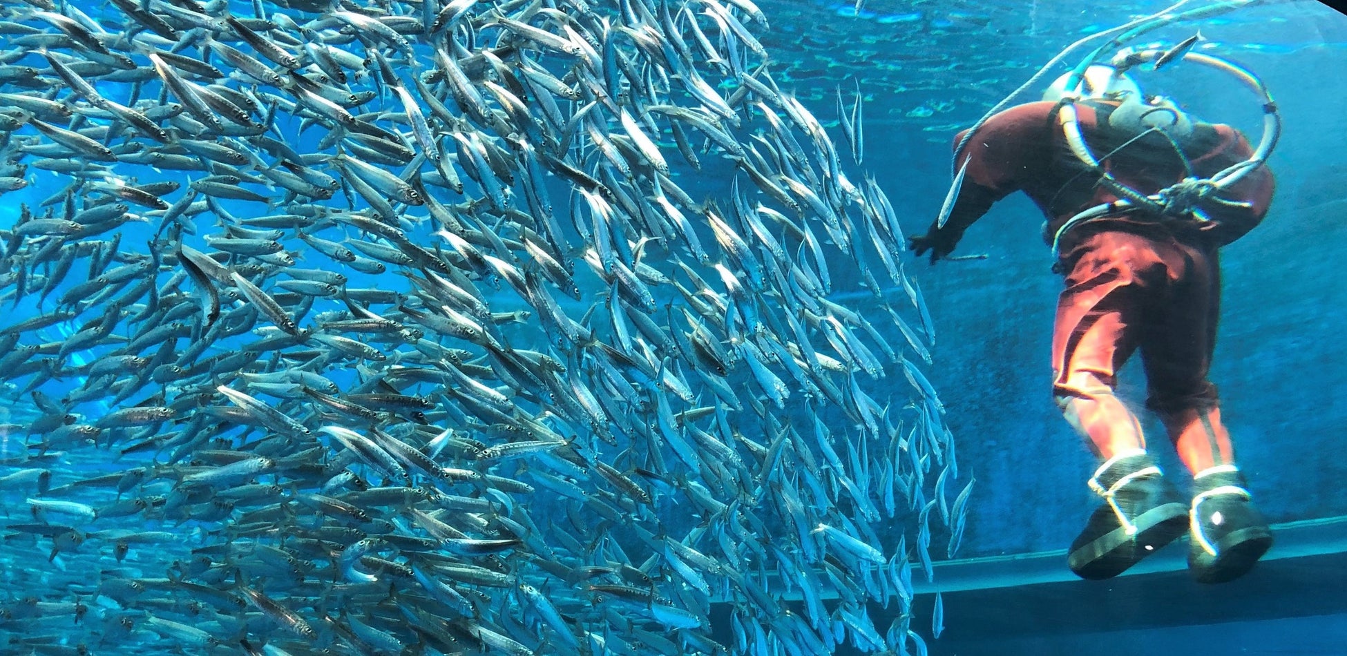 【Shijiエンタープライズ・プラットフォーム導入実例紹介】 日本初!ジャストスリープ大阪心斎橋がShiji エンタープライズ・プラットフォーム(クラウドPMS)を導入。