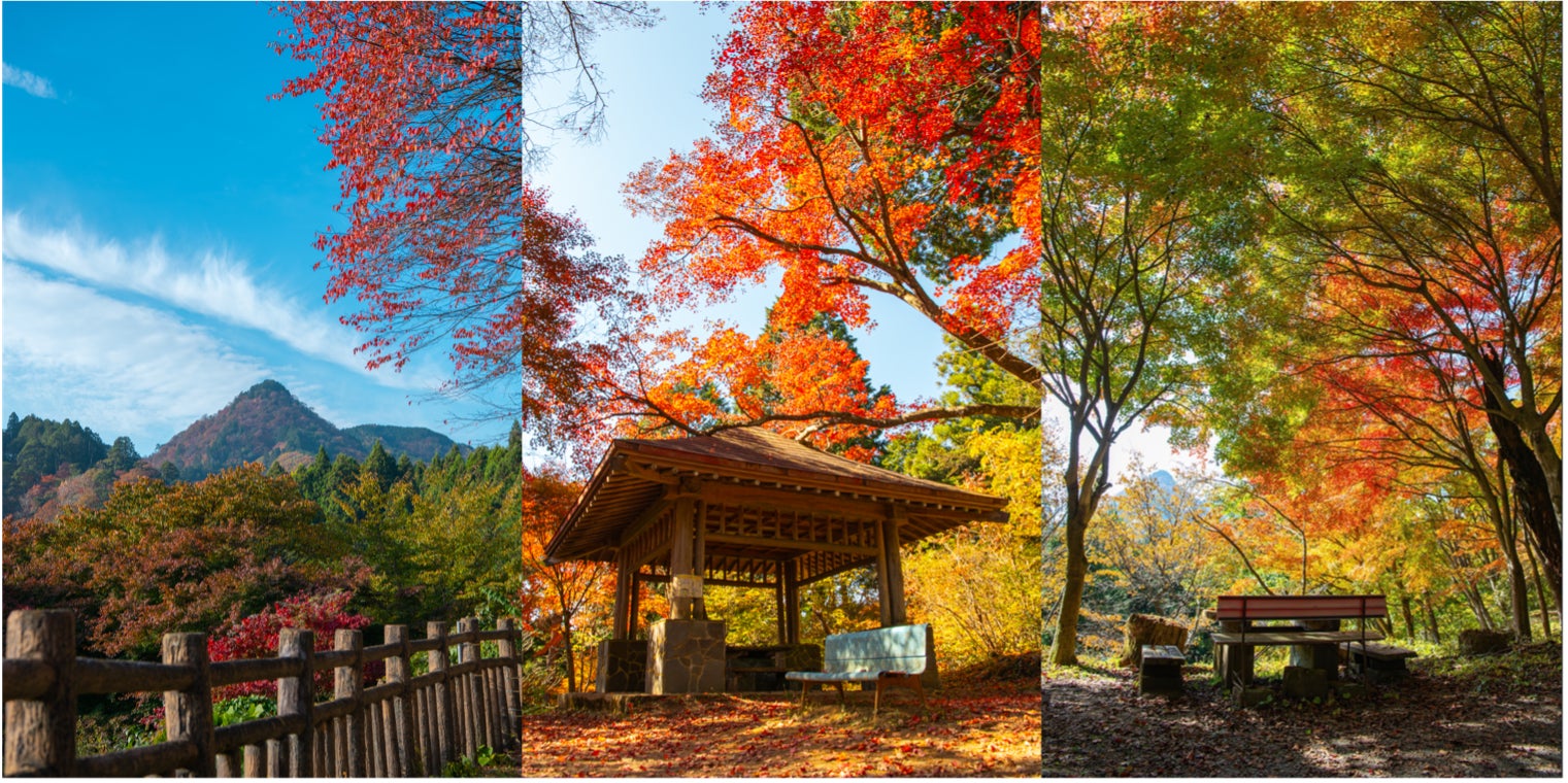 白馬ホテルグループ レストラン「THE CLUBHOUSE Powered by Stars’n Cacio」プレミアムシークレットバー「No. 898」12月中旬グランドオープン