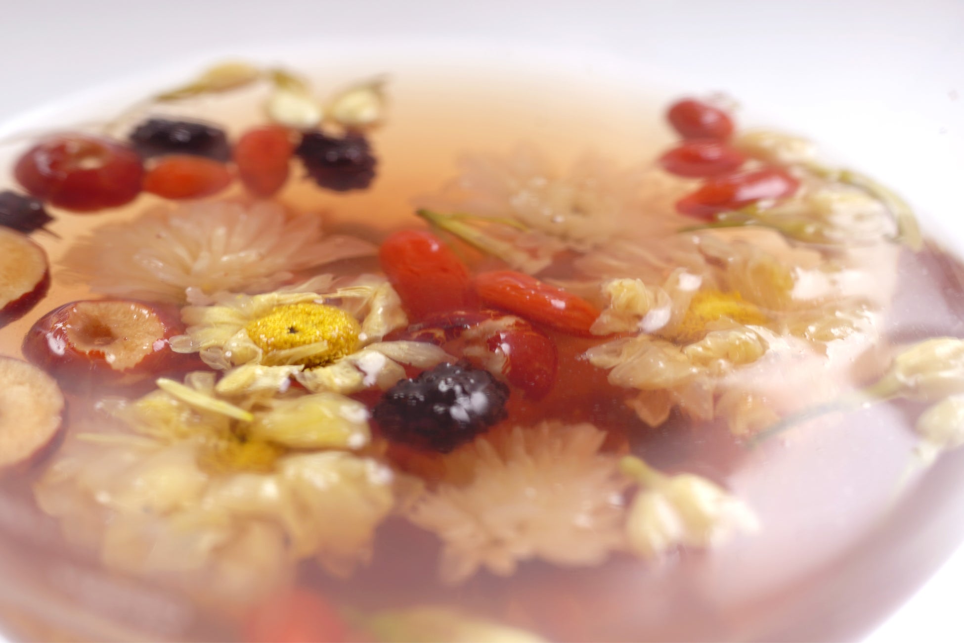 日本最大級のキャンピングカーの祭典ジャパンキャンピングカーショー2024開催決定！