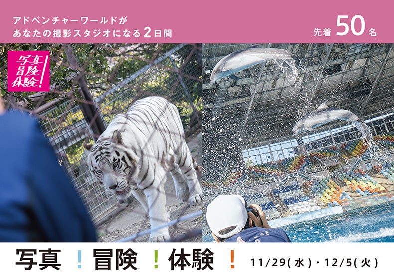 【鴨川シーワールド】2023年11月3日（金・祝）　計量記念日にちなみ、お客様の前でバンドウイルカとセイウチの体重測定を実施！海獣の子どもたちの体重も公開！「海の生き物 公開体重測定」結果報告