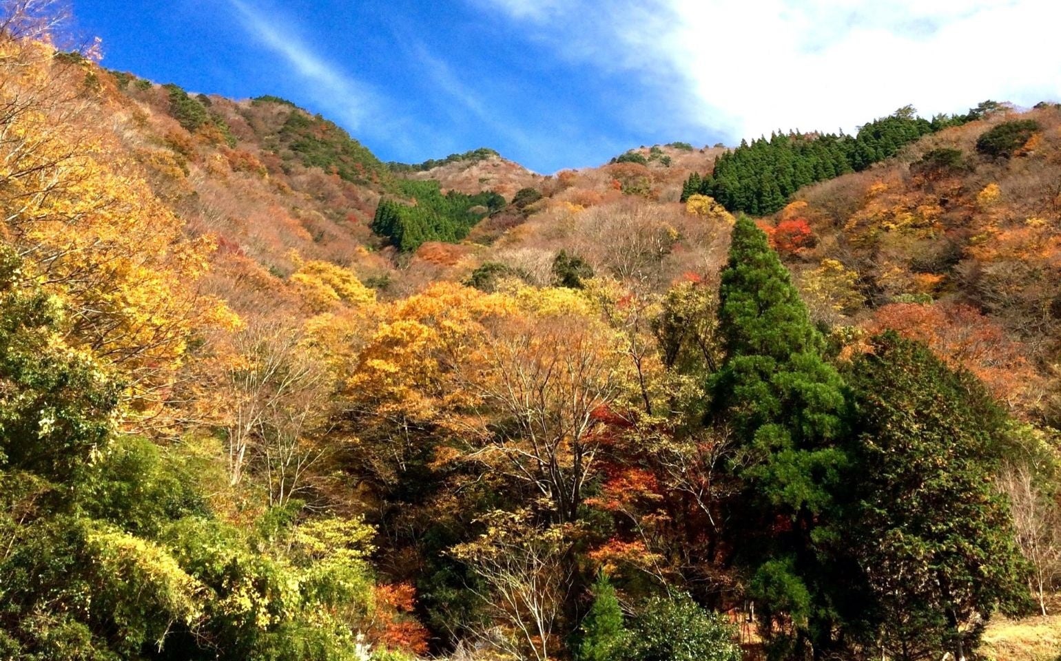 【11月30日まで】秘境の紅葉祭！熊本の五家荘紅葉祭開催中