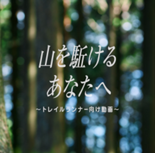 世界のランが集う 日本一の歴史をもつランの祭典
「沖縄国際洋蘭博覧会」を11月18日(土)から開催！