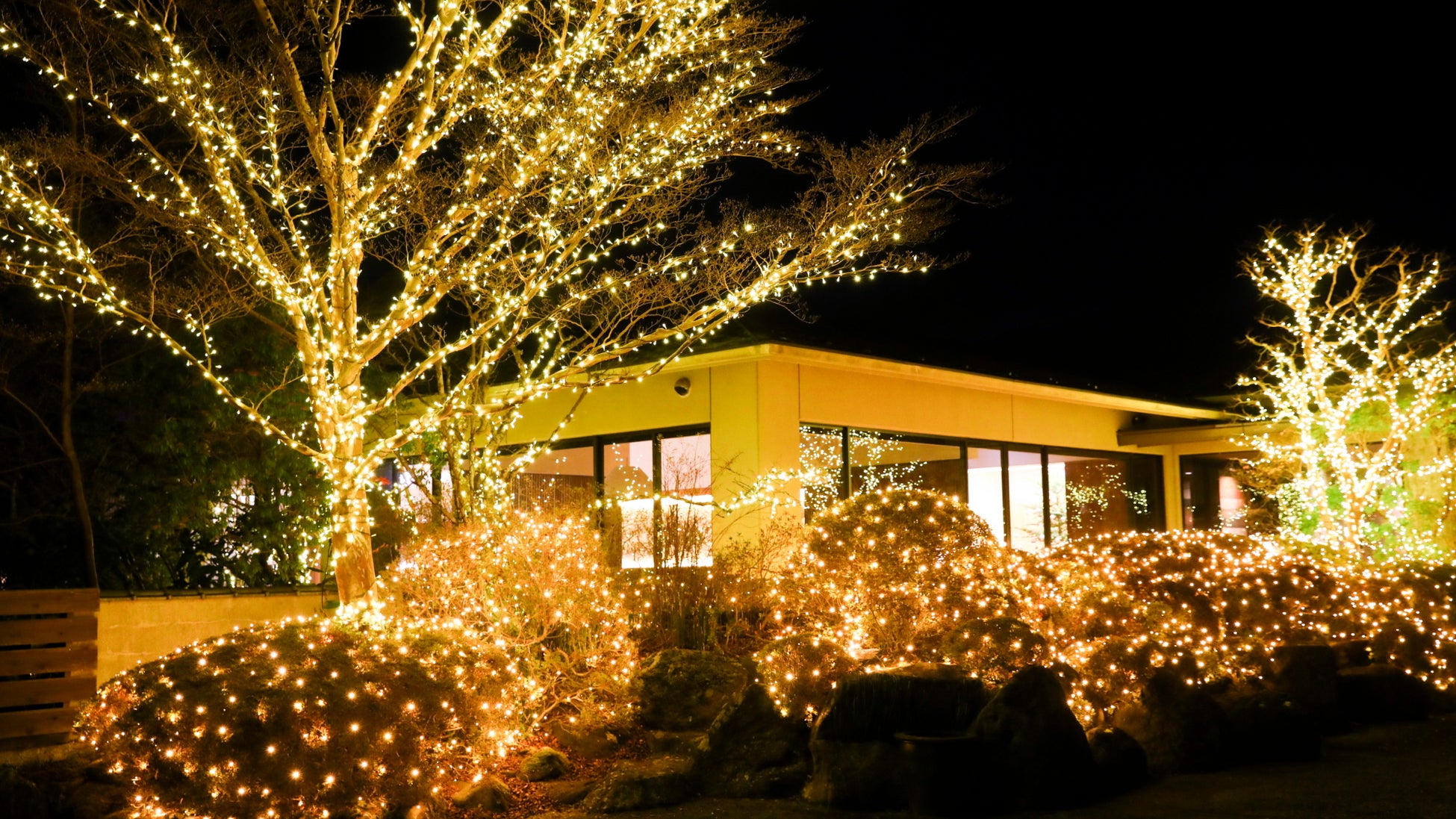 コンラッド東京、12月30日(土)より「ストロベリー・カフェタイム スイーツビュッフェ」を開催