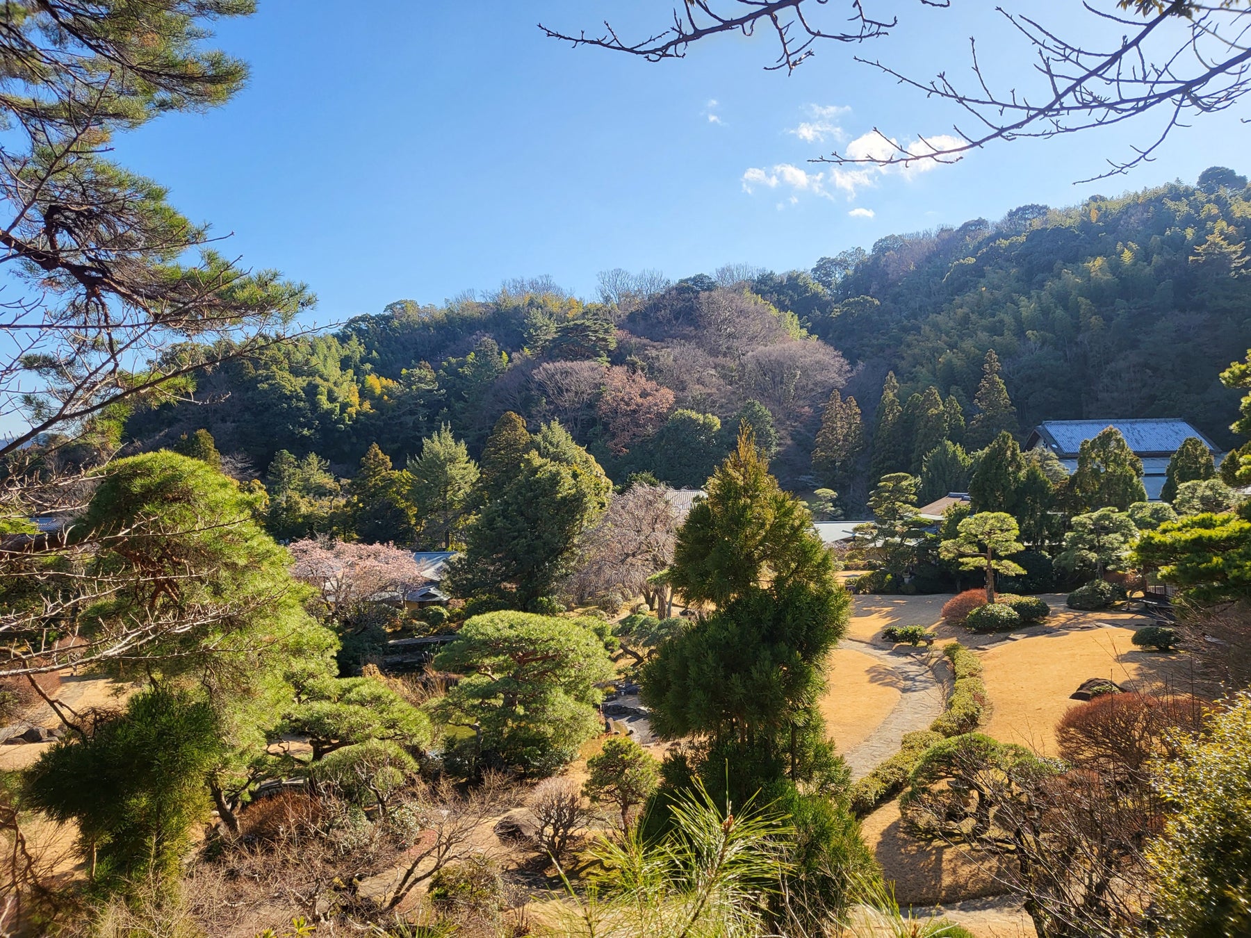 おまたせしました!菅平高原スノーリゾート 2023年11月25日早期オープン!人工造雪機導入で過去最速のオープン