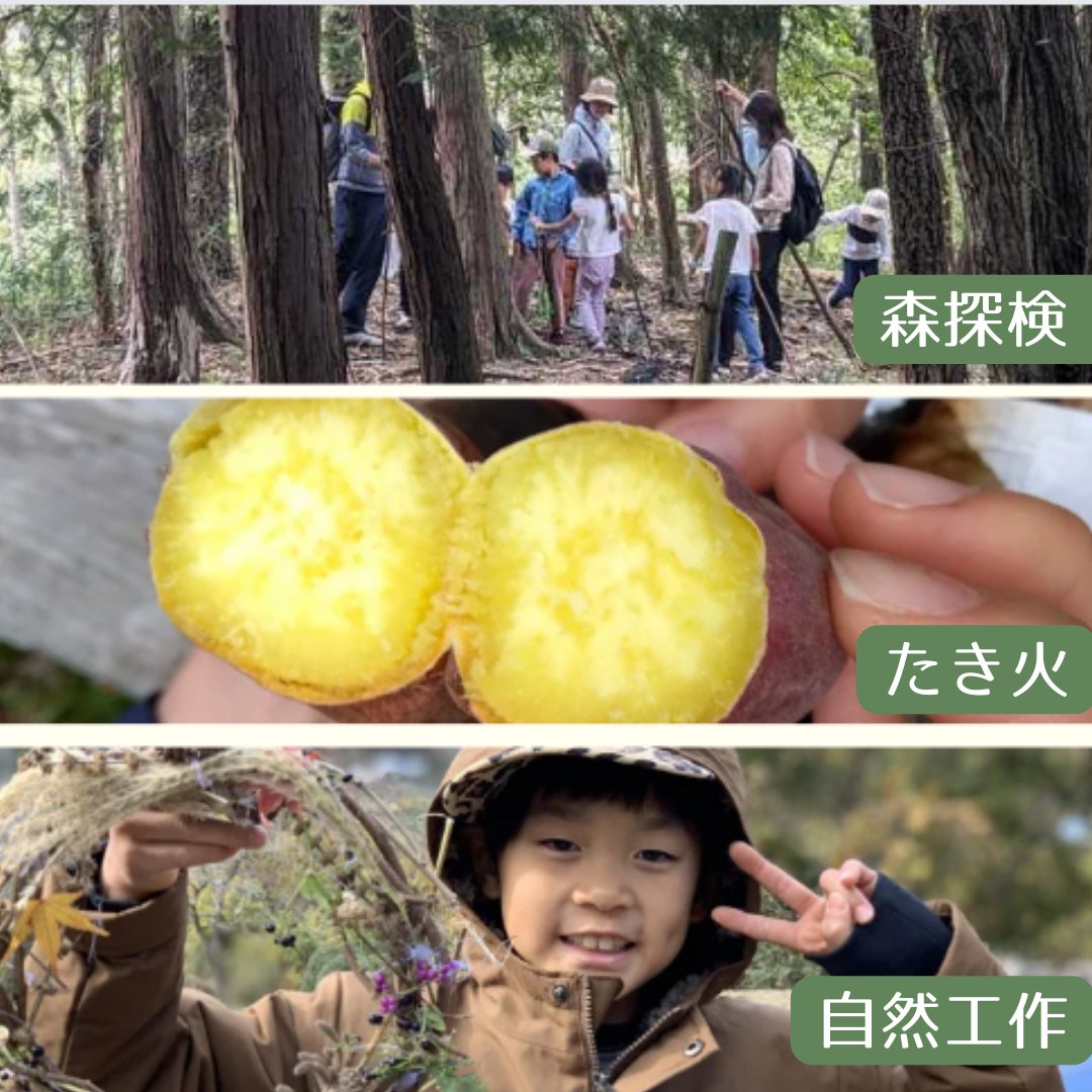リニューアルした世界自然遺産「奄美・沖縄」WEBサイトで奄美大島の自然・食・文化・体験を楽しもう！「島のいいもの」が当たるクイズキャンペーンも開催中！