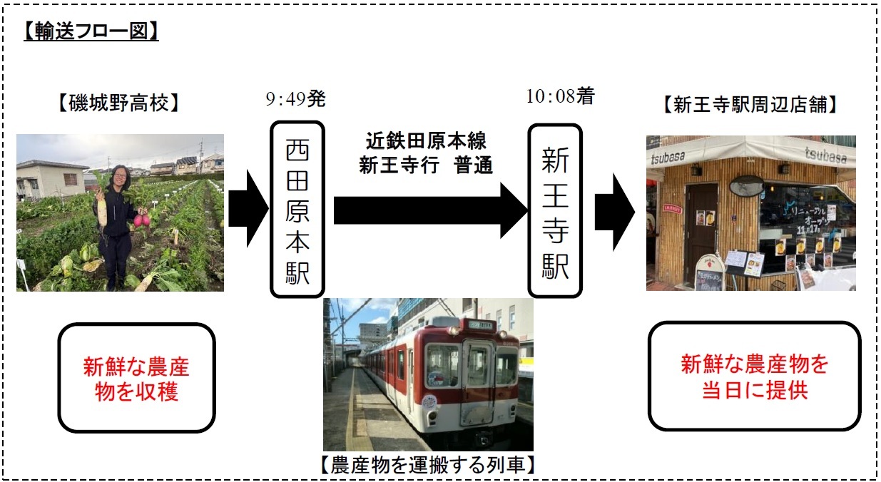 客船「飛鳥II」 2025年オセアニアグランドクルーズ発表　
～目の前に広がる絶景、感動のオセアニア40日の旅～