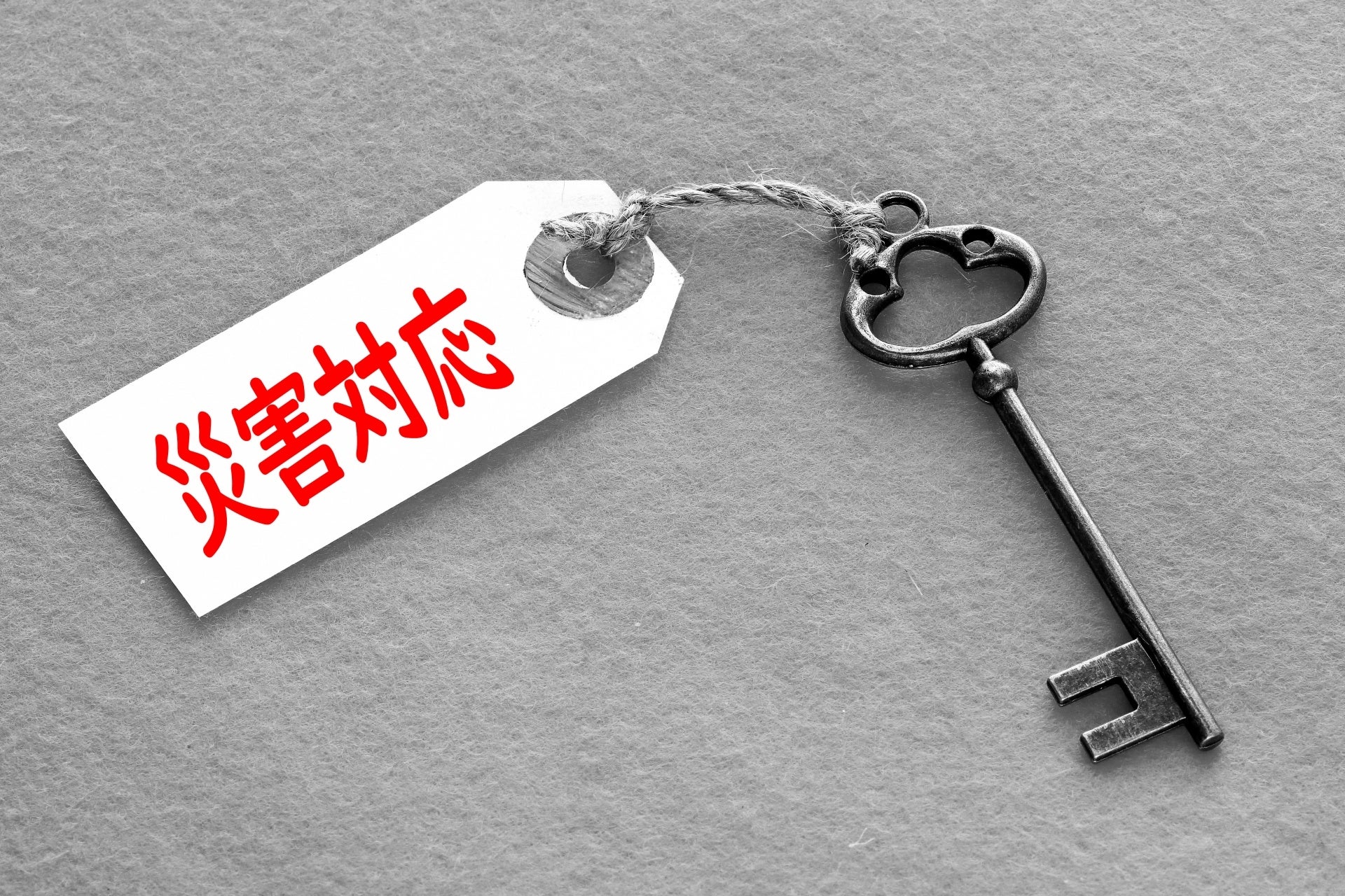 【兵庫県初出店】クリスマスとお正月はネコまみれ！ネコカフェ『Cat Café MOFF つかしん店』グランドオープン！