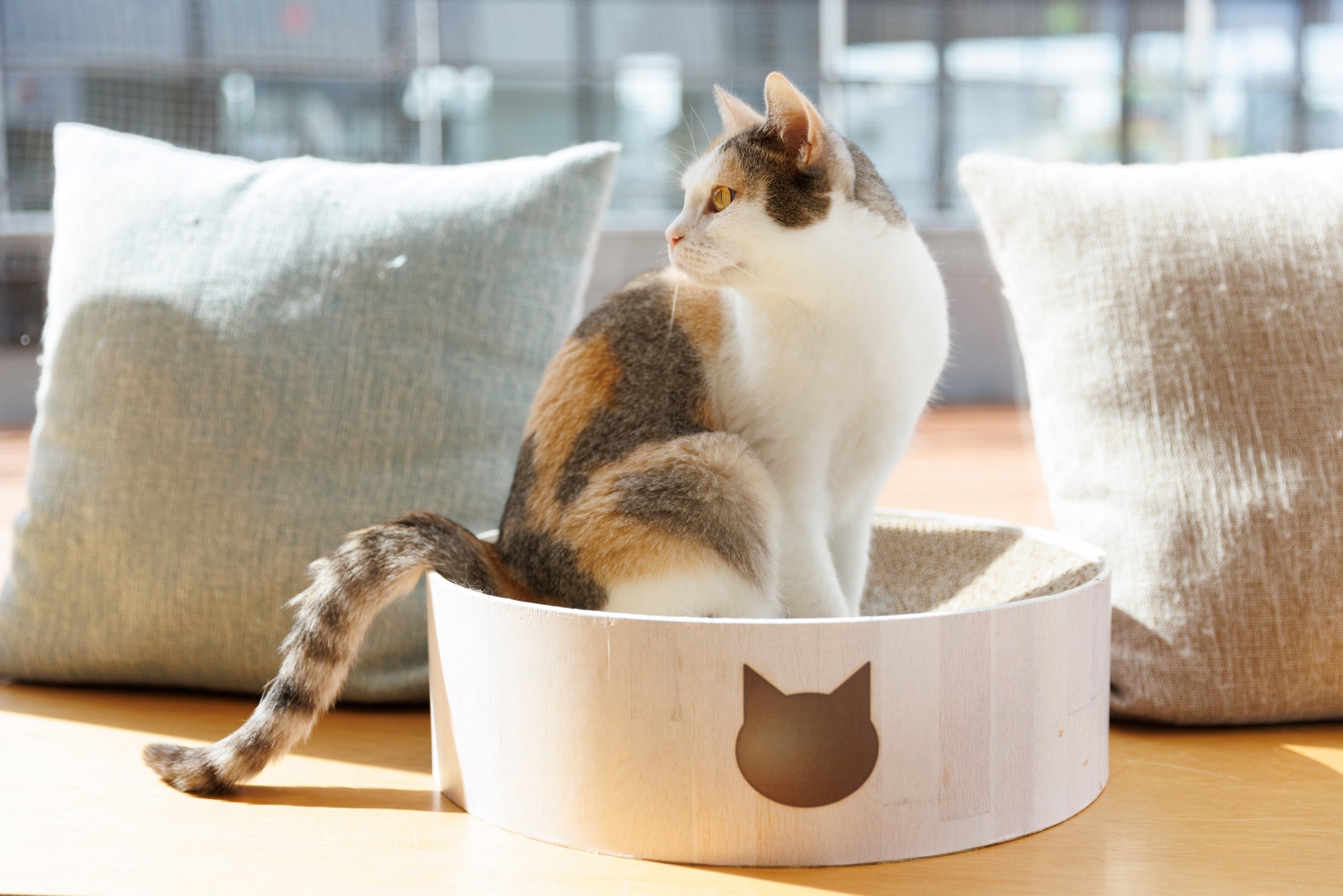 自由設計の滞在を実現する、農園リゾートTHE FARMからの新しいコテージスタイル提案。気ままな旅の、自由なすみか「HABITA」12月13日予約受付開始