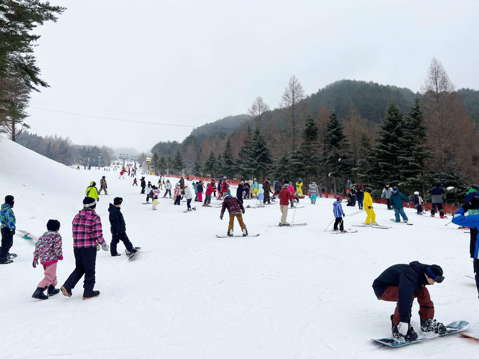 天然雪、イベント、便利アイテム。 幅広い層が楽しめる広島の「恐羅漢
