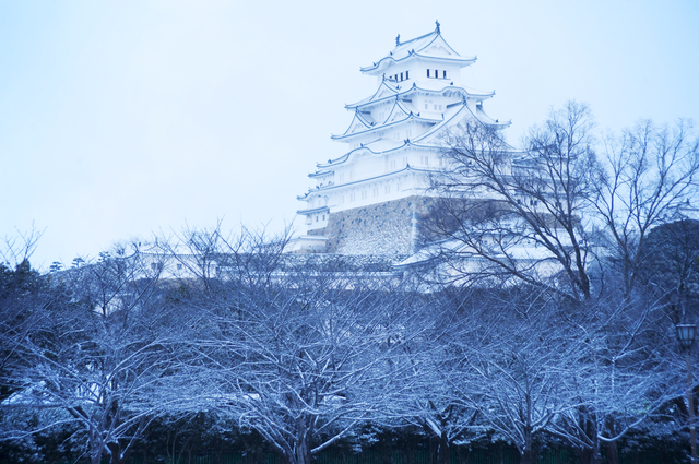 姫路城世界遺産登録３０周年記念事業（１月開催分）のお知らせ