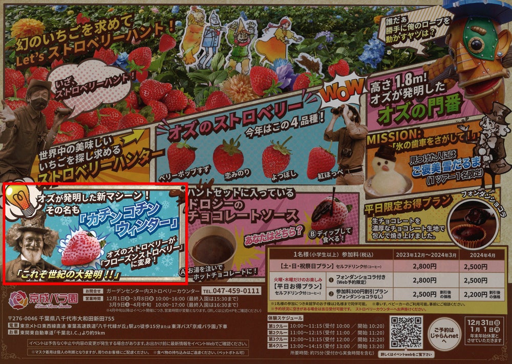 2024年2月開催！素盞鳴（スサノオ）神社雛段飾り＆第34回：河津桜まつり