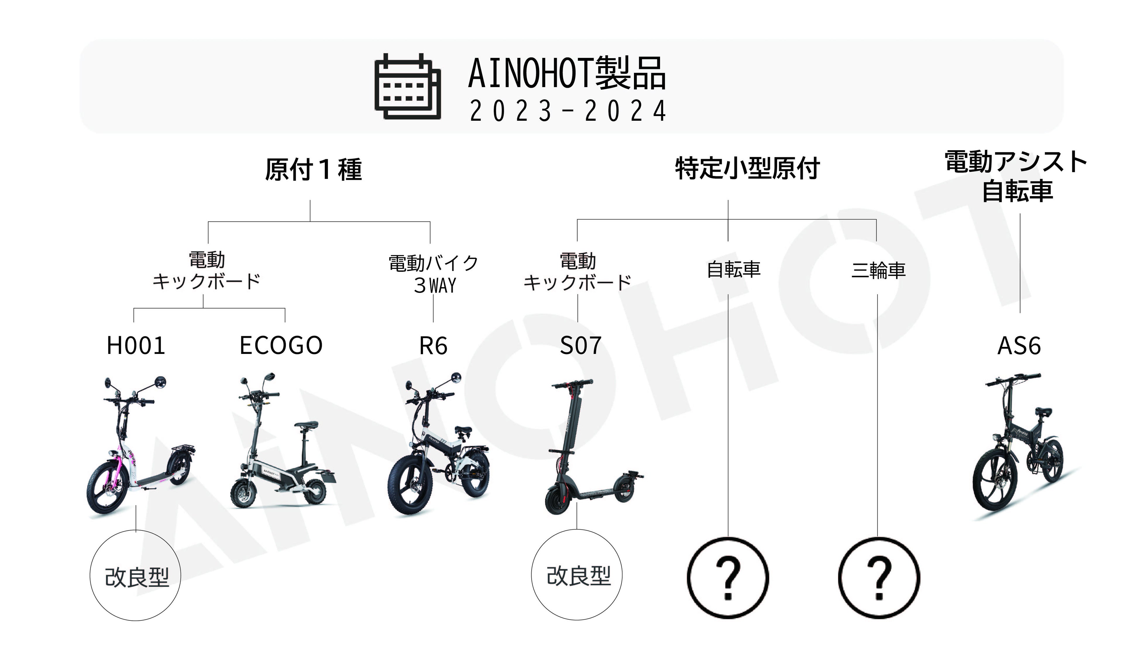 アトア初開催！2024年干支展「辰にまつわる魚たち」の展示がスタートしました