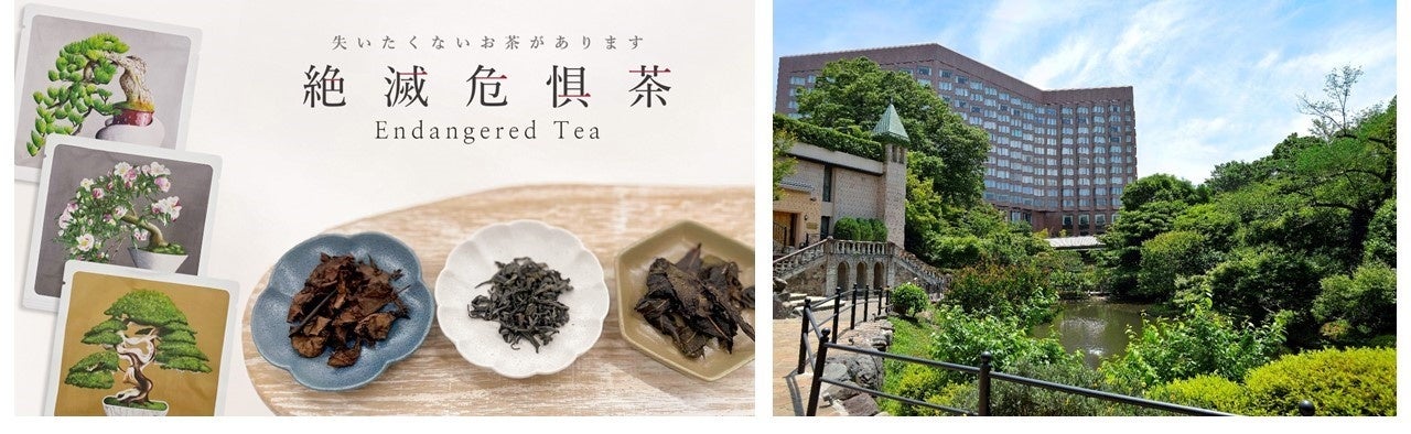 【ホテル椿山荘東京】日本の生態系の特徴である里地里山の保全に繋がる希少な「絶滅危惧茶®」（Endangered Tea）を1月15日より販売開始
