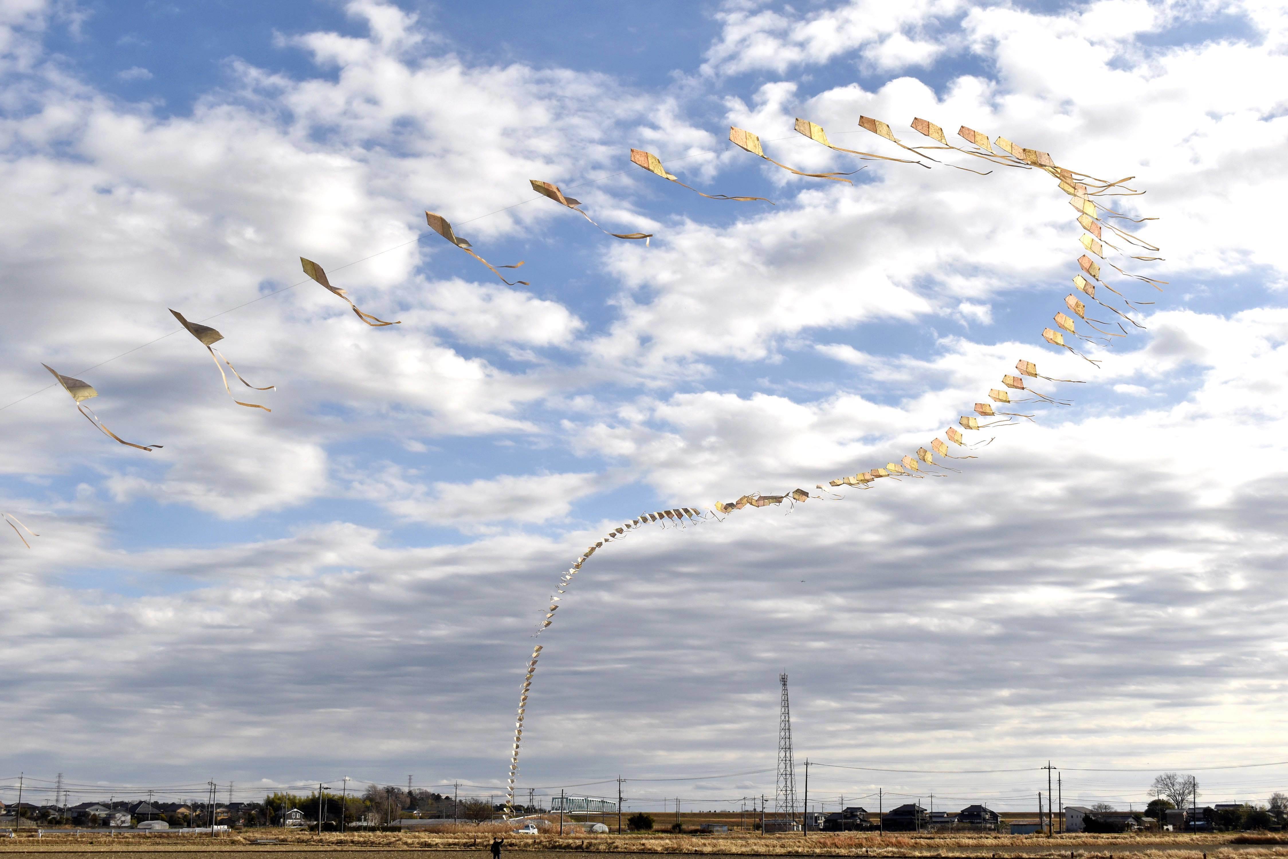 【星野リゾート　奥入瀬渓流ホテル】早春の花咲く苔を愛でるプログラム「春のお苔見」今年も開催　期間：2024年4月13日〜30日