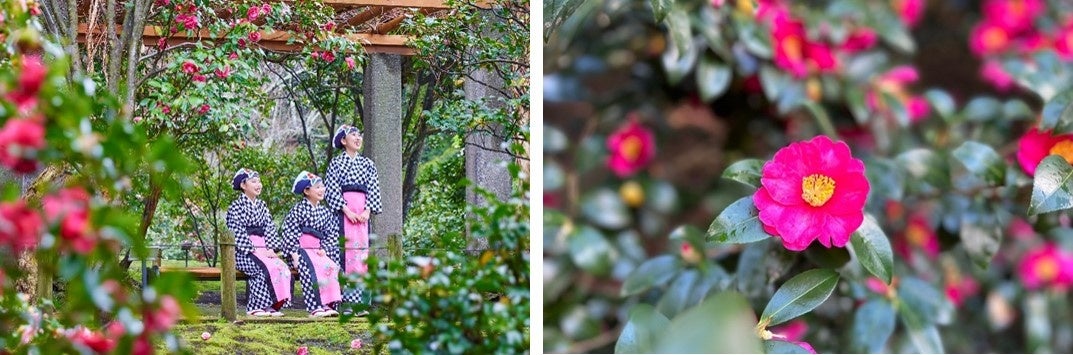 いちごの華やかな香りとチョコレートの甘い香りがハートをくすぐるスイートティータイム「いちごとチョコのアフタヌーンティーセット」