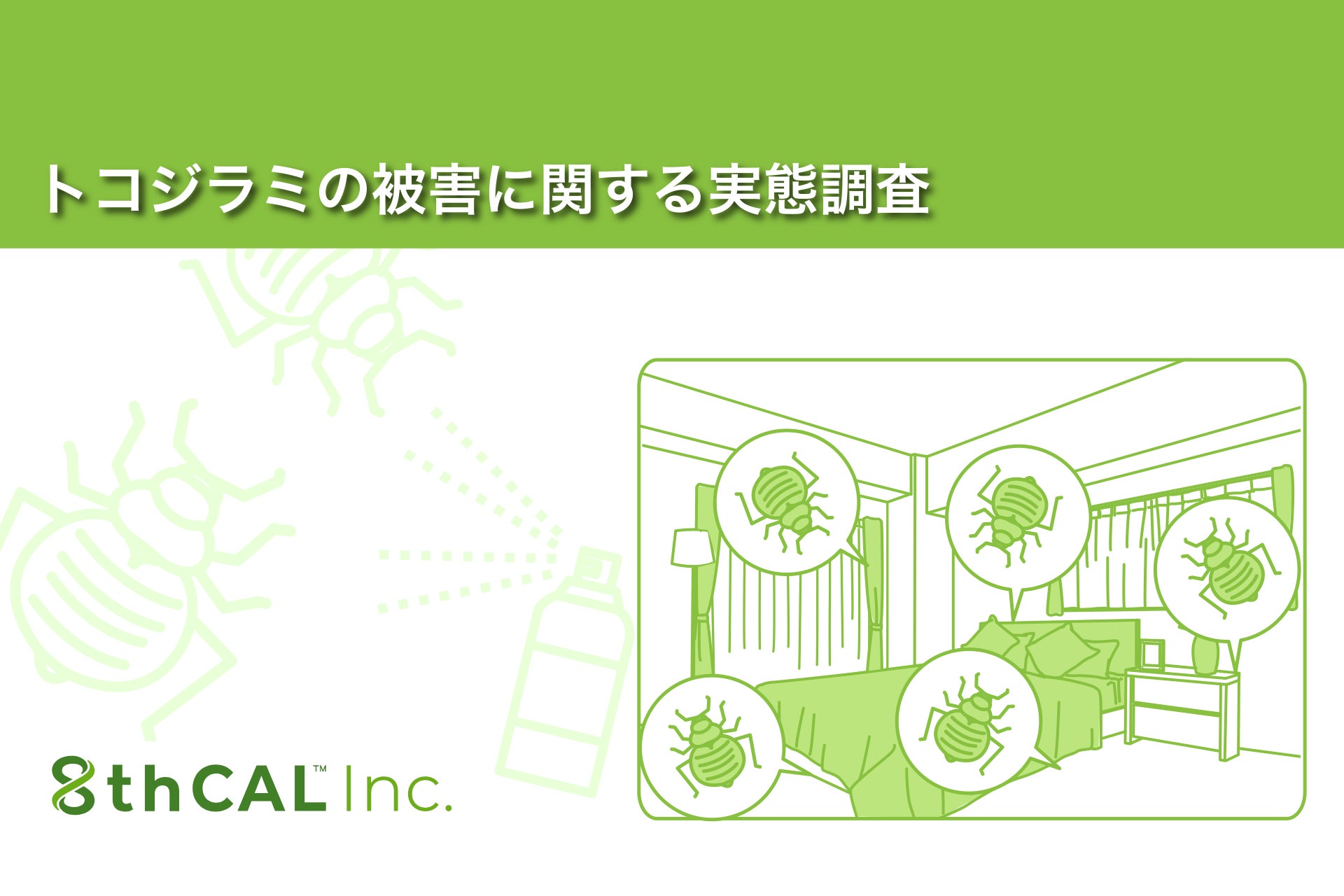 日本交通・東京観光タクシーの新ツアー、1月16日より受付開始！「最強！パワースポット巡り in 東京」運行