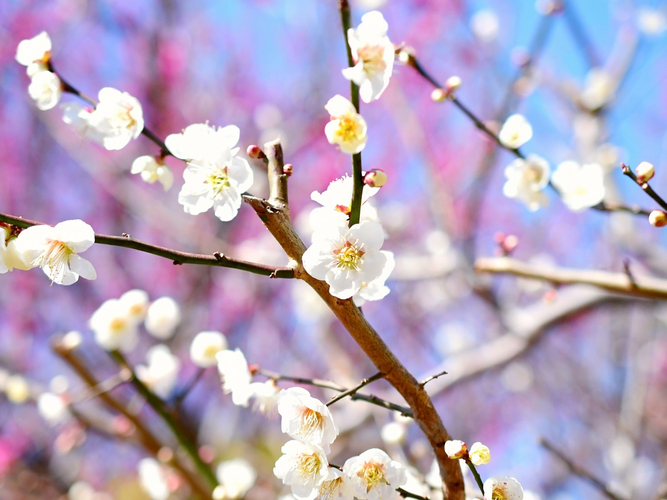 【府中の森公園】1月23日（火）「えほんとあそぼう！」開催