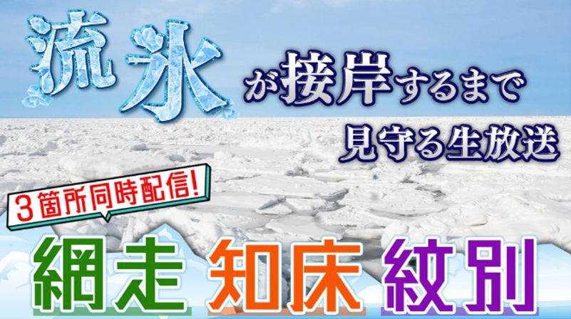 【山形県米沢市】伝統の灯を絶やしたくない！「上杉雪灯篭まつり・東北一番桜よねざわプロジェクト」クラウドファンディング、日本中からご支援いただき目標額の299%を達成！