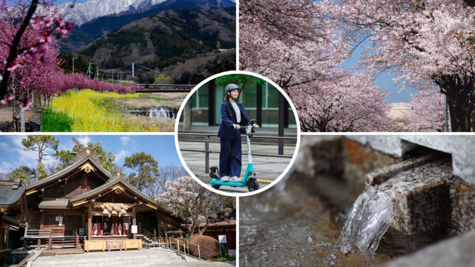 【札幌パークホテル】地域魅力発信企画　中島公園とすすきの寺院をめぐるガイドツアー　2024年1月27日（土）～ 3月31日（日）