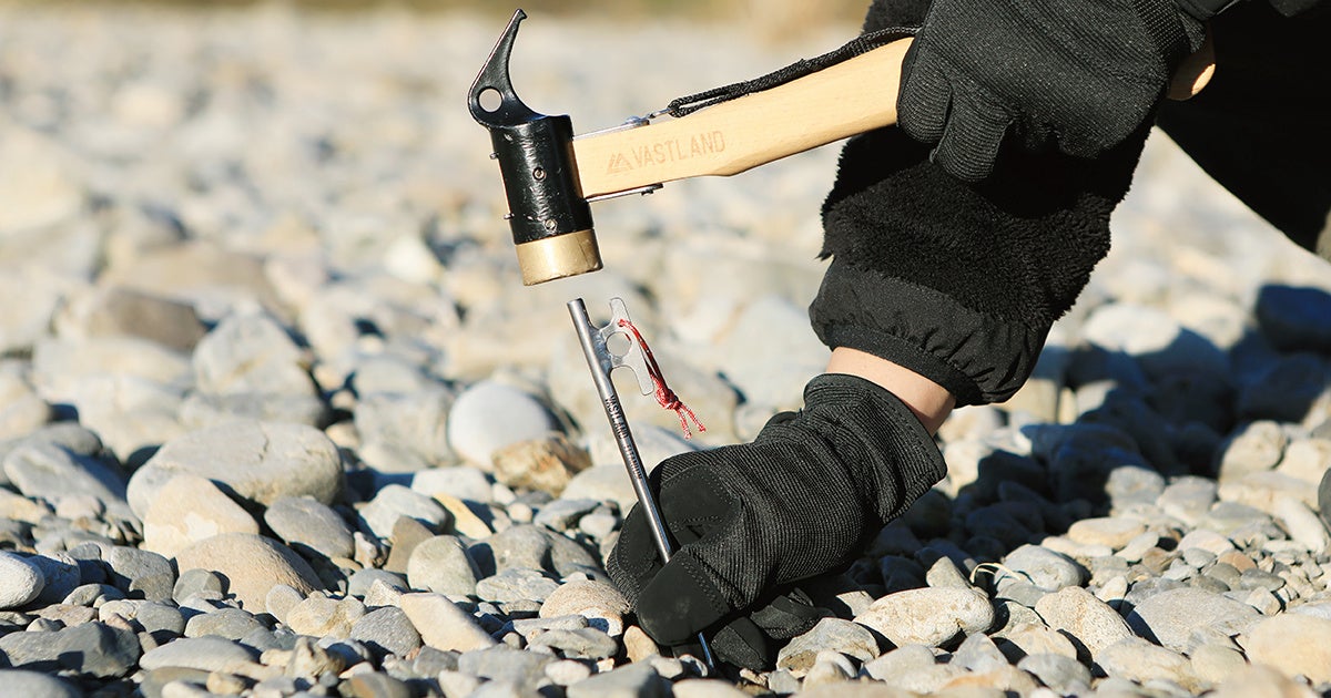 2時間ドラマの帝王、俳優・船越英一郎が“鳥”に興味を抱く! 「日本野鳥の会」に所属する芸能界きっての野鳥好き、レイザーラモンRGを相棒に、60歳を超えて新たな趣味の世界に足を踏み入れる!
