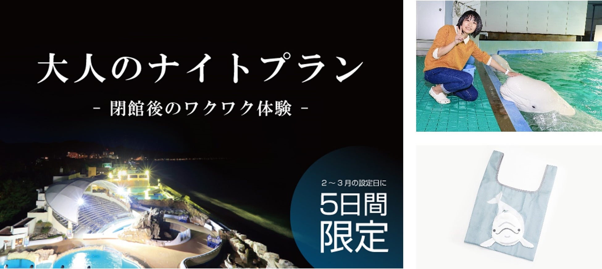 【鳥取県庁×Camecon】鳥取県の新プロジェクト『スナバ国』の認知拡大施策として1/22〜全国から参加できるフォトコンテストを開催！