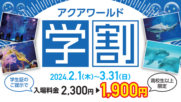 「レゴ®ニンジャゴーイベント」 ~キミのドラゴンパワーをみつけよう！~１月２７日(土)から期間限定開催