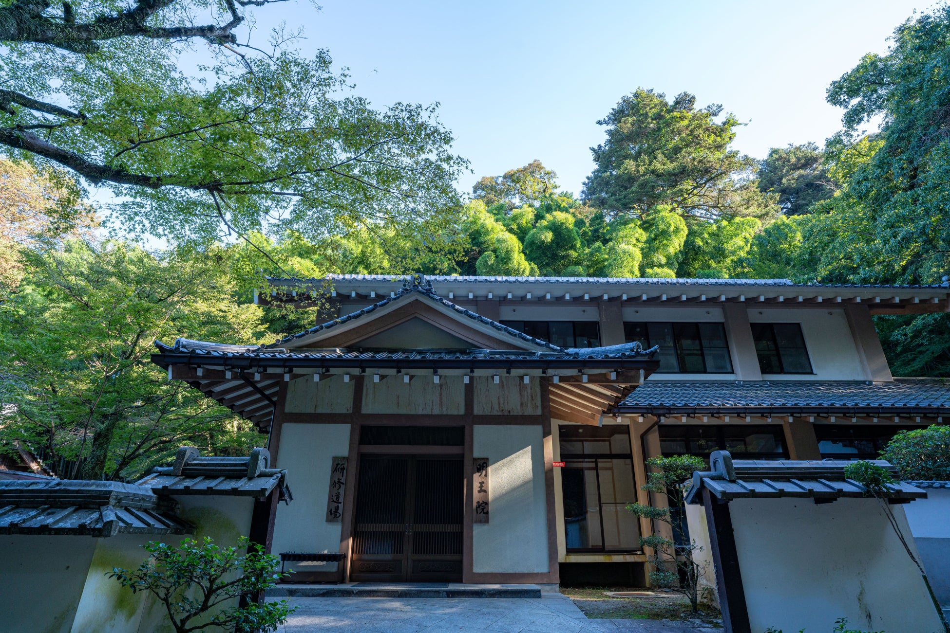 笑顔の花が咲く♪春の船旅【新日本海フェリー利用】”こてこて”大阪を楽しむ団体ツアー発売開始