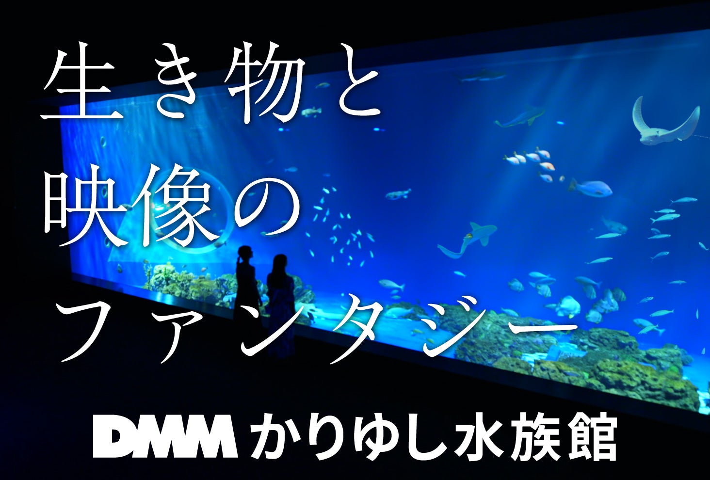 奥入瀬渓流の氷瀑が、見頃を迎えています。