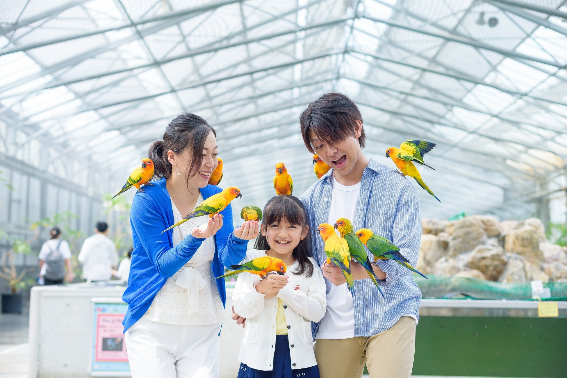 東大寺、興福寺、春日大社、元興寺、薬師寺、唐招提寺　 2月の行事のお知らせ