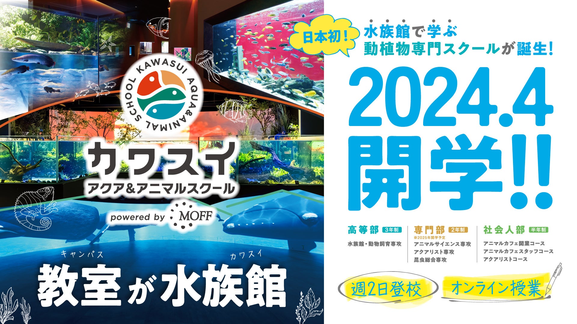 累計応募者数2000組超、123組のアスリートをサポート！　「ZAMSTチャレンジャープログラム」第8期募集を開始