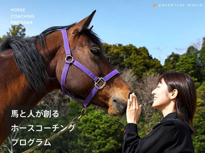 業績好調の理由は顧客データにあり!一休.comの社長 榊淳の初著書『DATA is BOSS』が発売!各界の第一人者からも推薦の声が続々