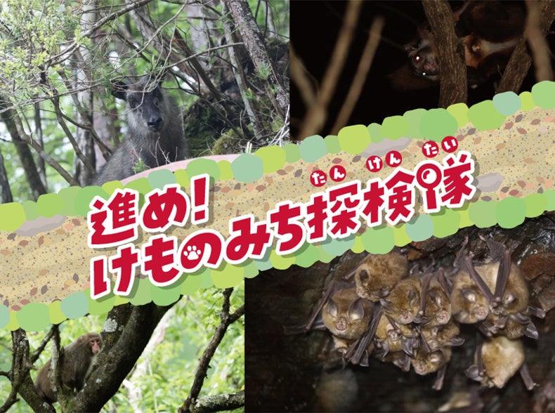 【湯河原温泉　海石榴】ゴールデンウィーク先取り！喧騒を離れ、海石榴で温泉と新緑をゆっくり愉しみませんか？