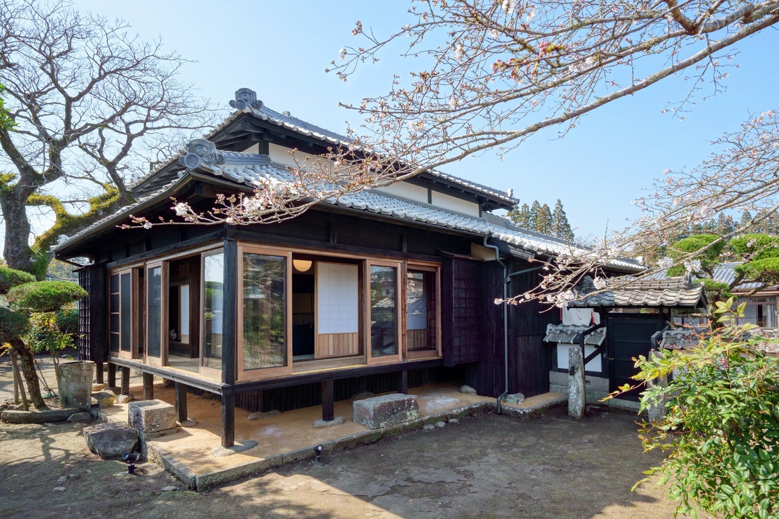 マクセル アクアパーク品川×ネイキッド、桜のデジタルアートで彩る海のお花見