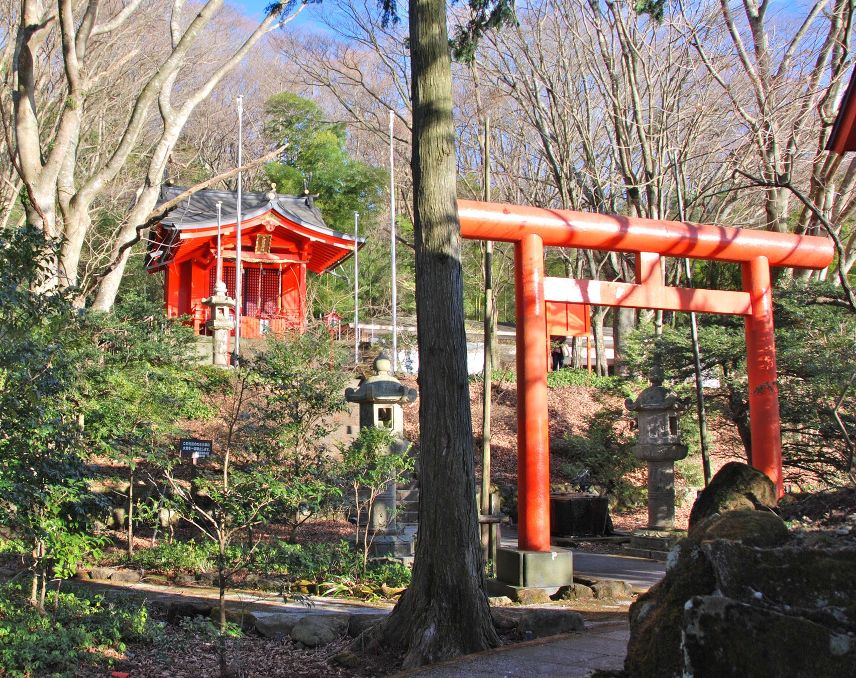 【大磯プリンスホテル】心躍るアートと桜のグルメで、唯一無二のお花見体験!「桜煌めく幻想空間 OISO SAKURA ART2024」を開催!!