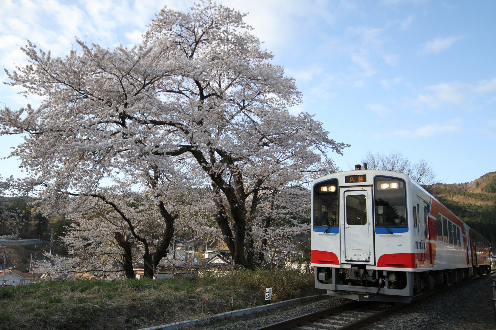 2024年の春がまもなく到来！華やかな春色に心が弾むスイーツが満載！「桜スイーツフェア」3月1日（金）より開催