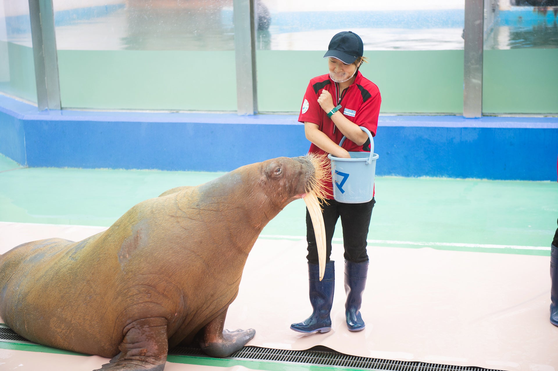 地元東海三県の食材を多数使用し、旬が詰まった色彩豊かな春のシーズンフレンチ！『シーズナル アーティスティックフレンチ～Spring Collection～』期間限定販売