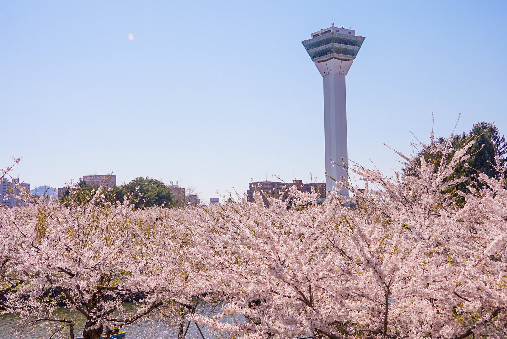 【千葉県佐倉市】「ENjoy! SAKURA春フェス～佐倉城址公園ライブ～」チケット販売中