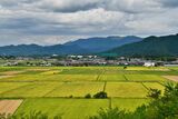 【北海道 東川町】日本橋髙島屋でスタートする、織田コレクション「椅子とめぐる20世紀のデザイン展」に協力