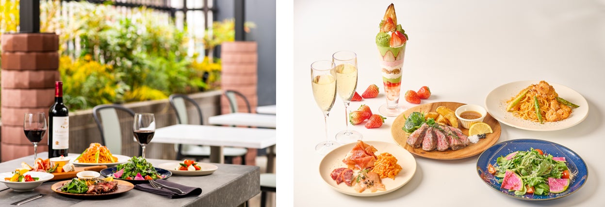 切り絵御朱印発祥の寺「埼玉厄除け開運大師・龍泉寺」にて2種類の春限定重ね切り絵御朱印『桜満開・夜桜』『カタクリと黄金のミモザ』の授与開始