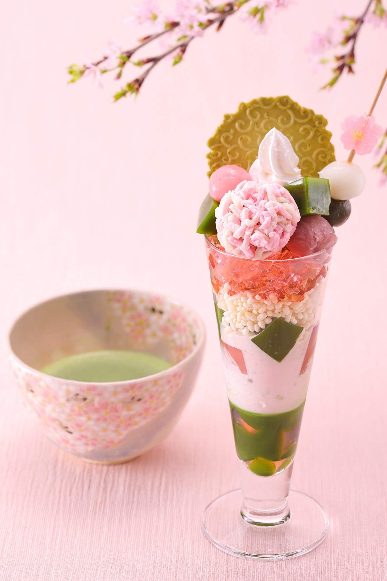 伊東市に桜のトンネル出現　春の訪れ
3月23日～4月7日まで「さくらの里夜桜観賞会」を開催！