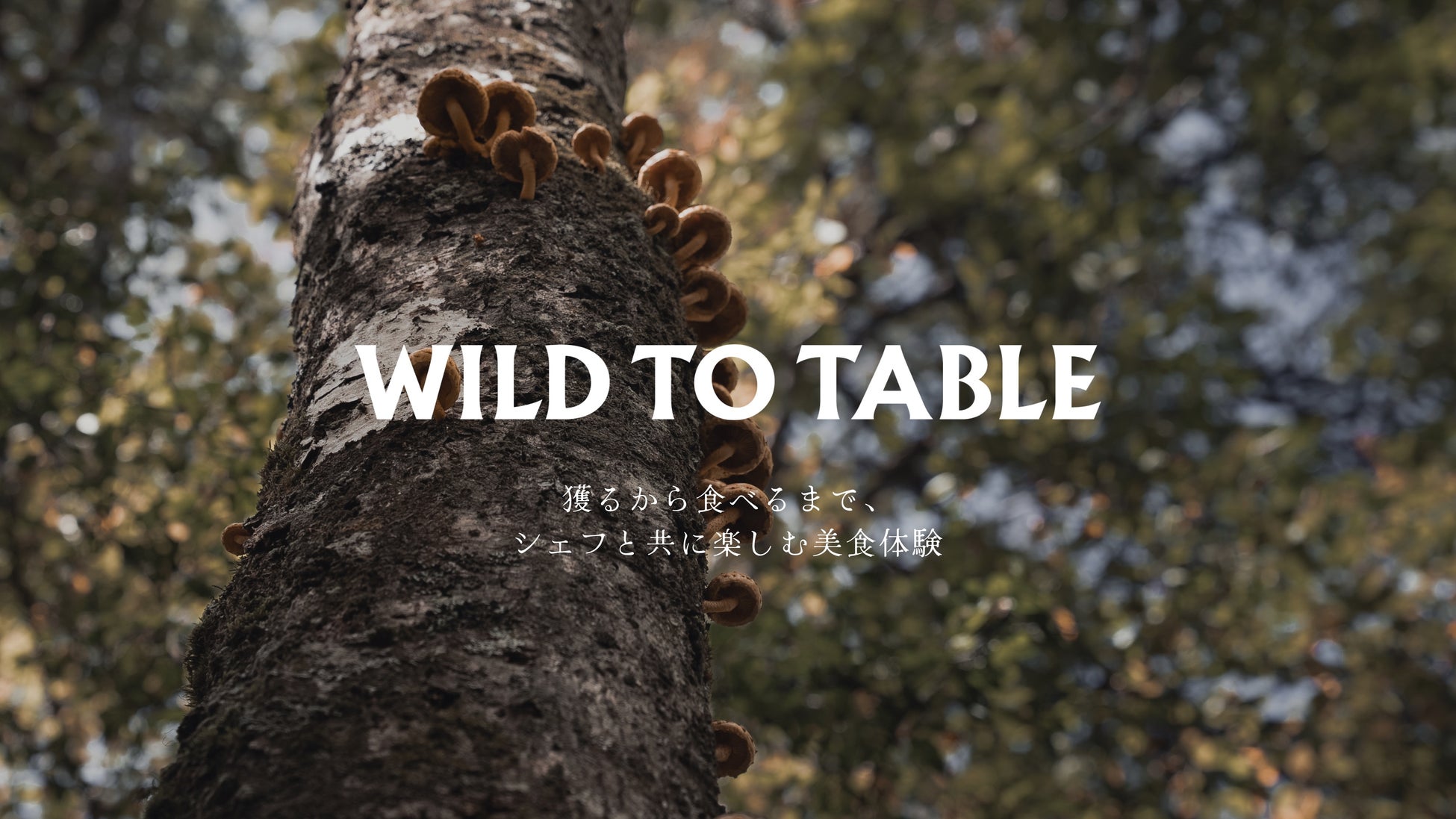 株式会社comeal、採集体験から楽しむ美食倶楽部「WILD TO TABLE」をリリース