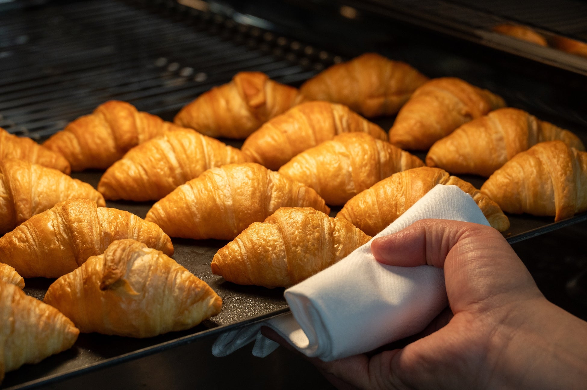 「千年オリーブテラス for your wellness」2024年3月15日グランドオープン