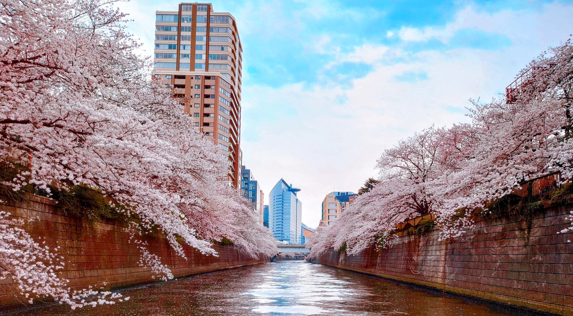 お一人様￥5,300-～【3/30・31出発】【京都・嵐山】桜・お花見屋形船＋嵐山での昼食付 春の嵐山を楽しむ日帰りプラン