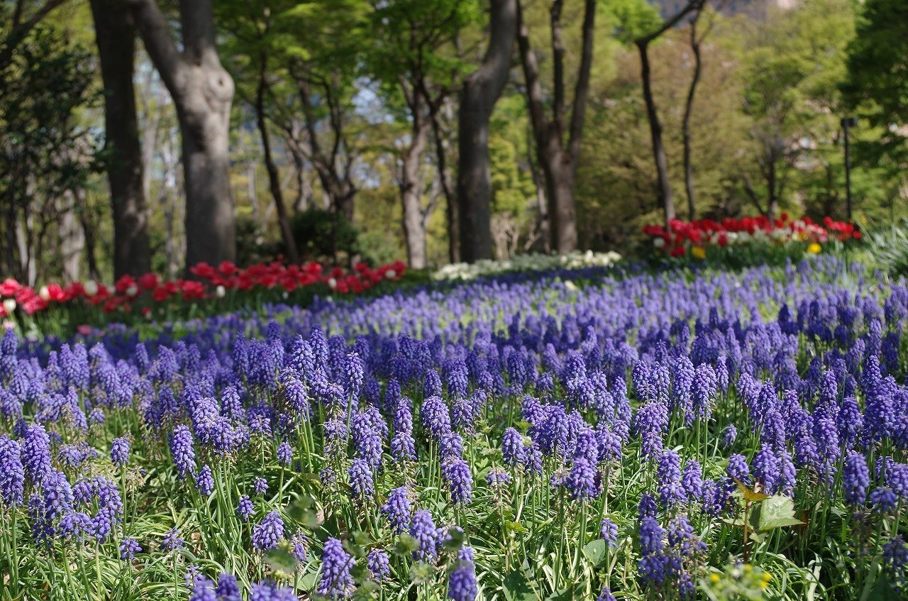 【鮒鶴京都鴨川リゾート】京都の夏の風物詩を愉しむ川床ランチ・ディナープランを、5月1日（水）より提供開始
