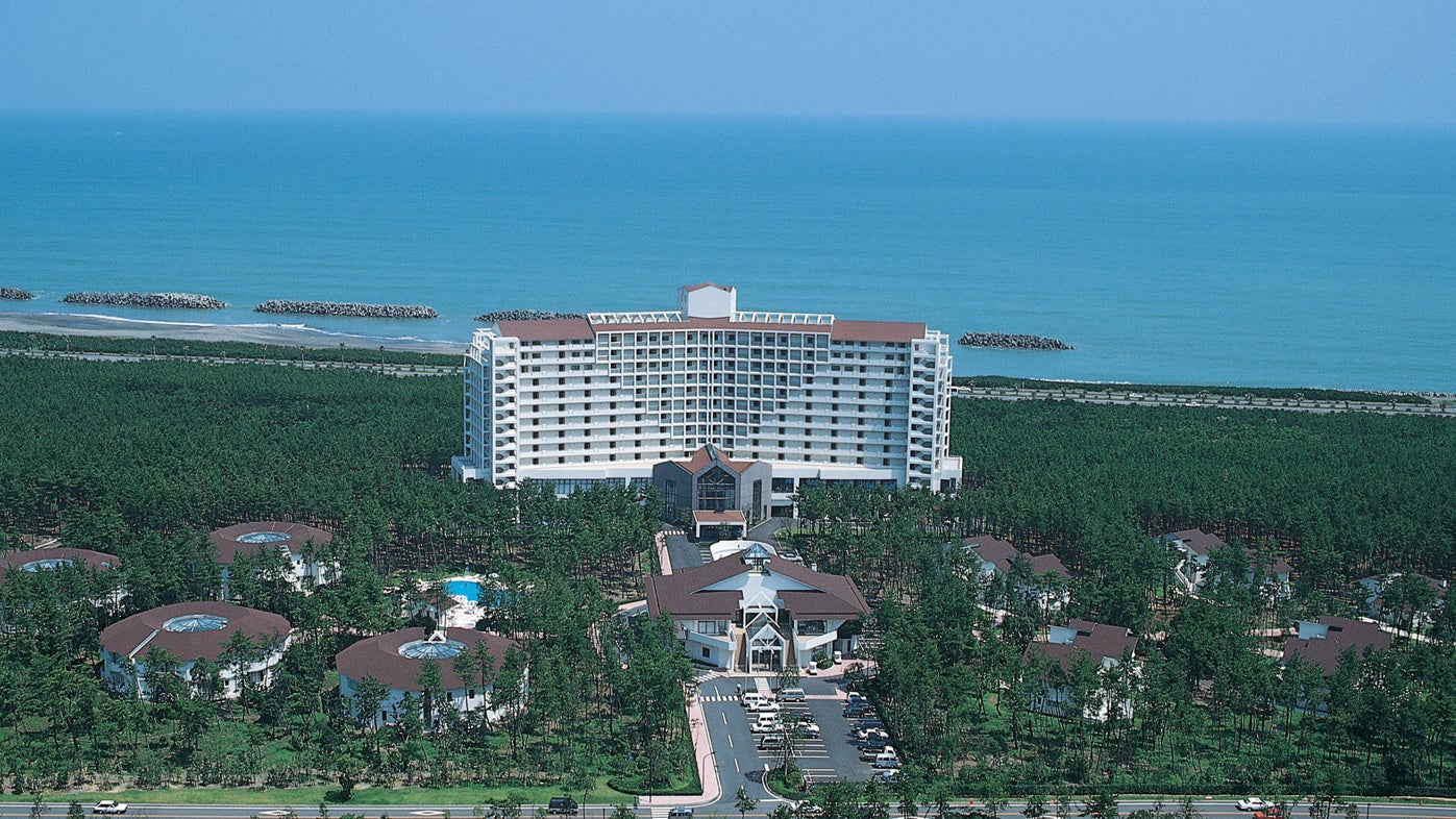 【moln】エストネーション六本木ヒルズ店にて期間限定ポップアップストアをオープン 刺繍作家 小林モー子とのコラボレーションPINS先行発売